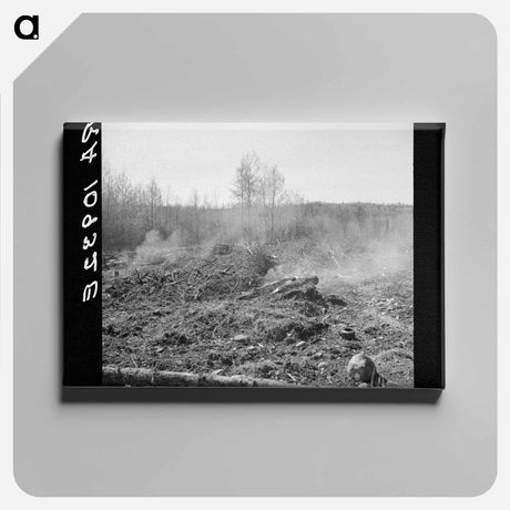 アートパネル-Burning Brush
 - ラッセル リー Canvas.