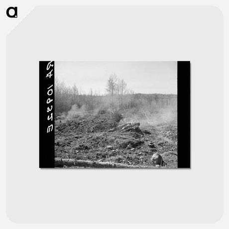 アートポストカード-Burning Brush
 - ラッセル リー Postcard.