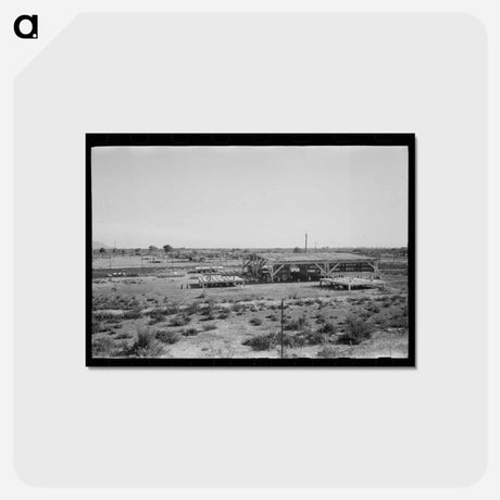 アートポストカード-Chicken Shelters, Casa Grande Valley Farms
 - ラッセル リー Postcard.