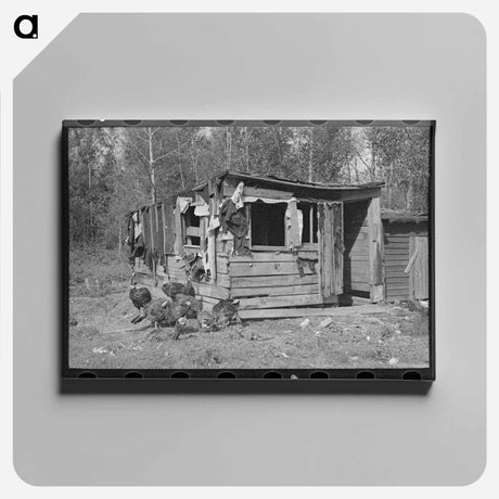 アートパネル-Shed and Turkeys
 - ラッセル リー Canvas.