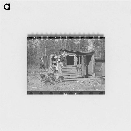 アートメモ帳-Shed and Turkeys
 - ラッセル リー Memo.