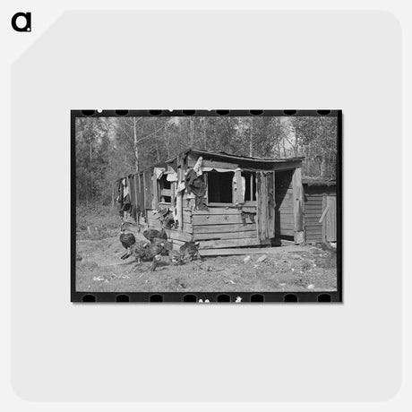 アートポストカード-Shed and Turkeys
 - ラッセル リー Postcard.