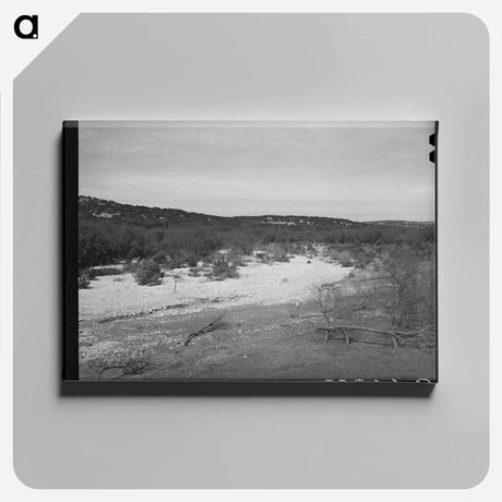 アートパネル-Dry Creek Bed, Kimble County
 - ラッセル リー Canvas.