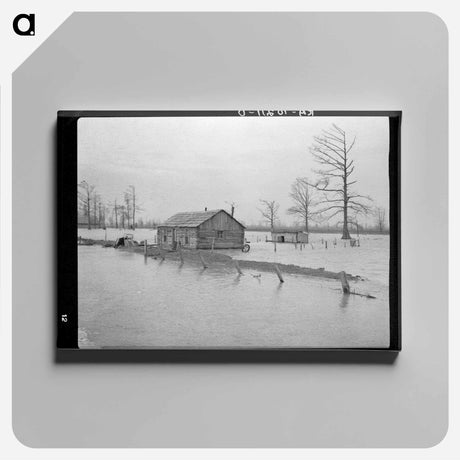 アートパネル-Flooded Farm
 - ラッセル リー Canvas.