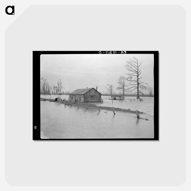 アートポストカード-Flooded Farm
 - ラッセル リー Postcard.