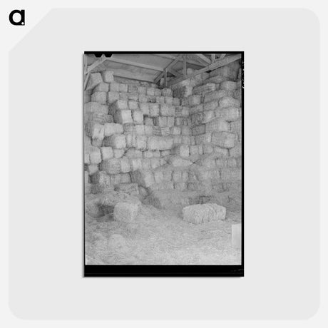 アートポストカード-Casa Grande Hay Bales
 - ラッセル リー Postcard.