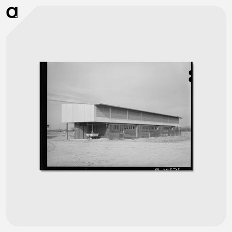 アートポストカード-Migratory Labor Camp
 - ラッセル リー Postcard.