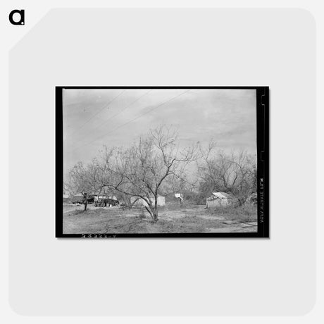アートポストカード-Migrant Camps in Harlingen
 - ラッセル リー Postcard.