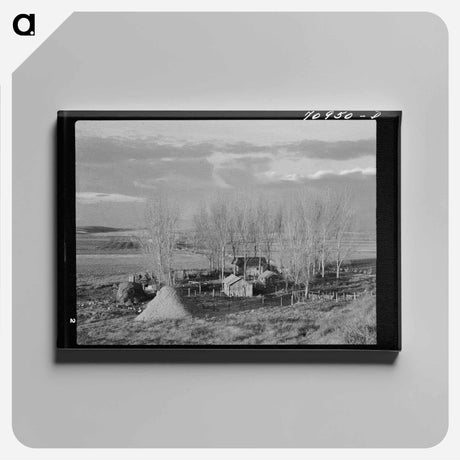 アートパネル-Black Canyon Farmstead
 - ラッセル リー Canvas.