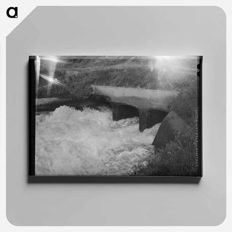 アートパネル-Irrigation Water, Canyon County
 - ラッセル リー Canvas.