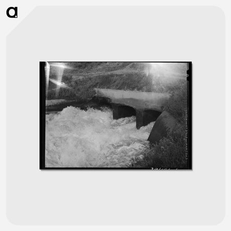 アートポストカード-Irrigation Water, Canyon County
 - ラッセル リー Postcard.