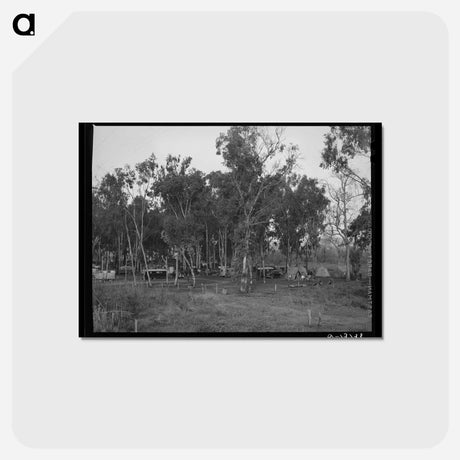 アートポストカード-Mission Valley Tent Camp
 - ラッセル リー Postcard.