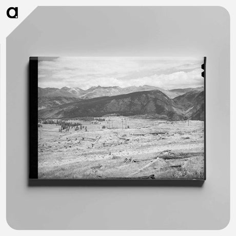 アートパネル-Deforestation Near Electra Lake
 - ラッセル リー Canvas.