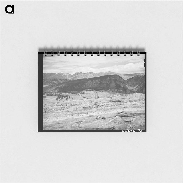 アートメモ帳-Deforestation Near Electra Lake
 - ラッセル リー Memo.