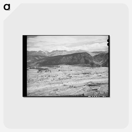アートポストカード-Deforestation Near Electra Lake
 - ラッセル リー Postcard.
