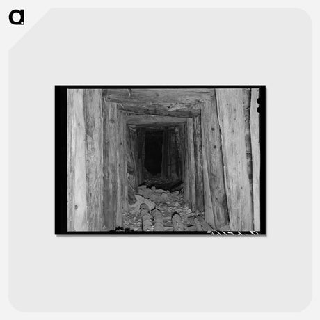 アートポストカード-Timbered Tunnel
 - ラッセル リー Postcard.
