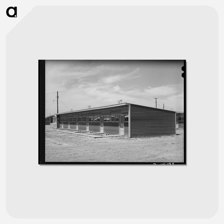 アートポストカード-Migratory Labor Camp Shelter
 - ラッセル リー Postcard.