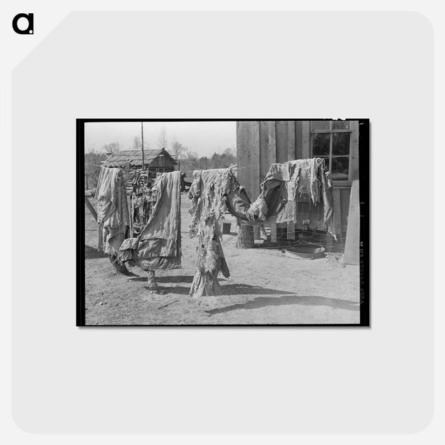 アートポストカード-Quilts of Family
 - ラッセル リー Postcard.