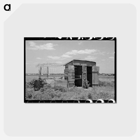 アートポストカード-Combination Henhouse and Privy
 - ラッセル リー Postcard.