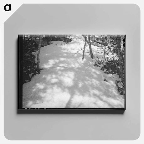 アートパネル-Shadows on Snow
 - ラッセル リー Canvas.