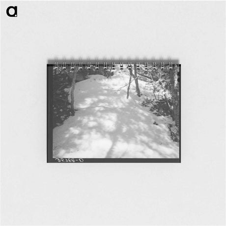 アートメモ帳-Shadows on Snow
 - ラッセル リー Memo.