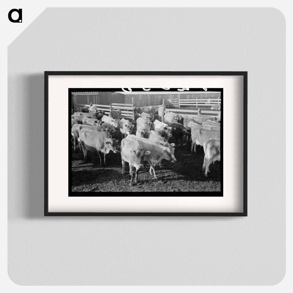 アートポスター-Jersey Cows at Dairy
- ラッセル リー Poster.