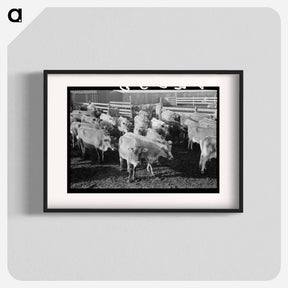 アートポスター-Jersey Cows at Dairy
- ラッセル リー Poster.