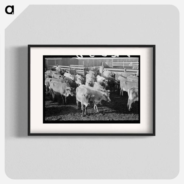 アートポスター-Jersey Cows at Dairy
- ラッセル リー Poster.