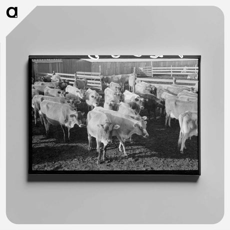 アートパネル-Jersey Cows at Dairy
 - ラッセル リー Canvas.