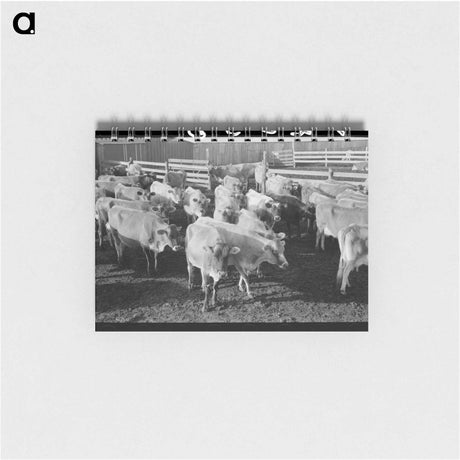 アートメモ帳-Jersey Cows at Dairy
 - ラッセル リー Memo.