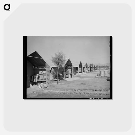 アートポストカード-Aqua Fria Shelters
 - ラッセル リー Postcard.