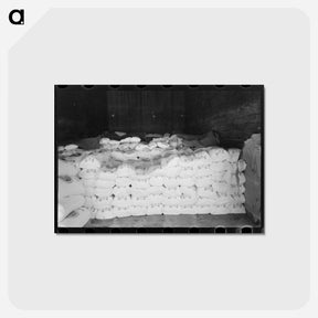 アートポストカード-Flour Freight
 - ラッセル リー Postcard.