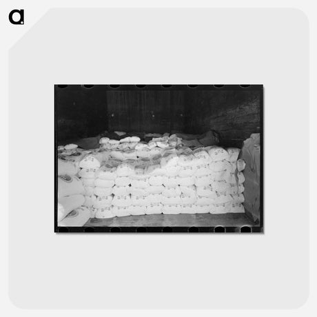アートポストカード-Flour Freight
 - ラッセル リー Postcard.