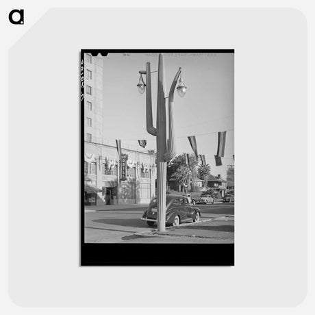 アートポストカード-Cactus Light, Phoenix
 - ラッセル リー Postcard.
