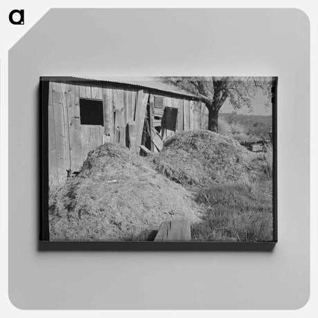 アートパネル-Manure and Barn
 - ラッセル リー Canvas.