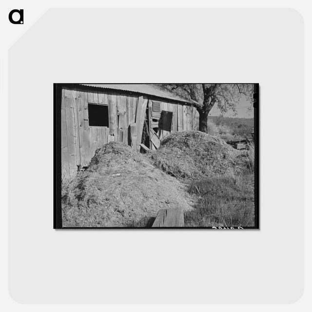 アートポストカード-Manure and Barn
 - ラッセル リー Postcard.