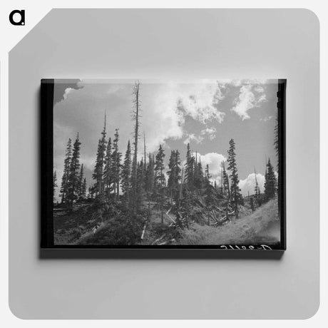 アートパネル-Mine Timber Remnants
 - ラッセル リー Canvas.