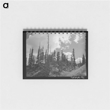 アートメモ帳-Mine Timber Remnants
 - ラッセル リー Memo.