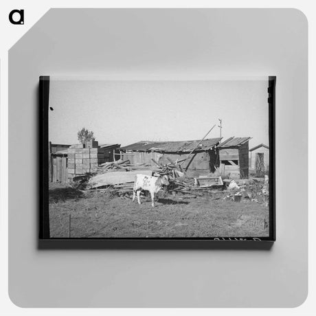 アートパネル-Calf and Buildings on Elof Hansen's Farm
 - ラッセル リー Canvas.