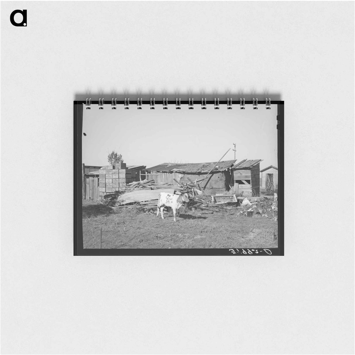 アートメモ帳-Calf and Buildings on Elof Hansen's Farm
 - ラッセル リー Memo.