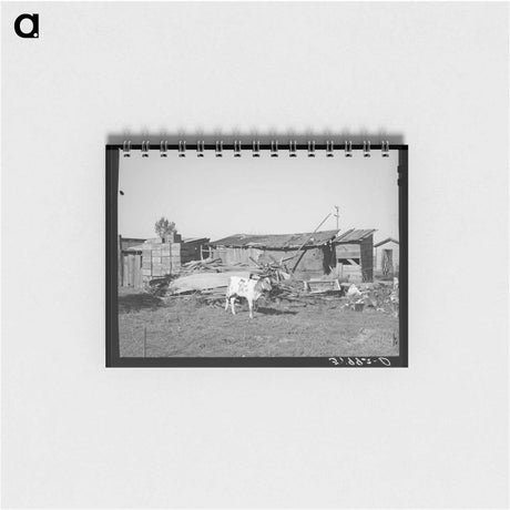 アートメモ帳-Calf and Buildings on Elof Hansen's Farm
 - ラッセル リー Memo.