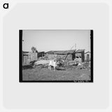 アートポストカード-Calf and Buildings on Elof Hansen's Farm
 - ラッセル リー Postcard.
