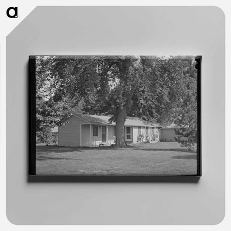 アートパネル-Manager's House, Yakima FSA Camp
 - ラッセル リー Canvas.
