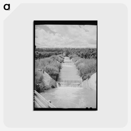アートポストカード-Orchard Irrigation Ditch
 - ラッセル リー Postcard.
