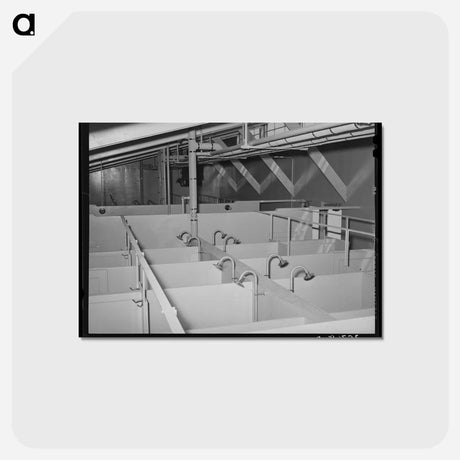 アートポストカード-Showers at the Migrant Camp
 - ラッセル リー Postcard.