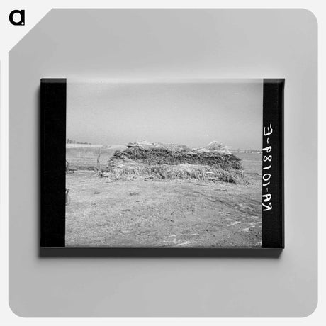 アートパネル-Hemp Stack
 - ラッセル リー Canvas.