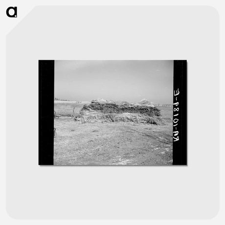 アートポストカード-Hemp Stack
 - ラッセル リー Postcard.