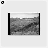 アートポストカード-Irrigation Pipe
 - ラッセル リー Postcard.