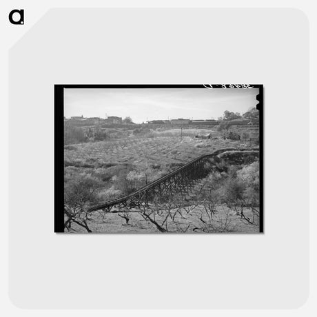 アートポストカード-Irrigation Pipe
 - ラッセル リー Postcard.
