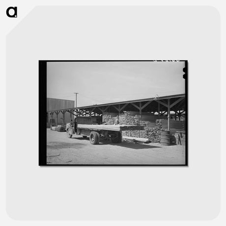 アートポストカード-Lumber Loading
 - ラッセル リー Postcard.